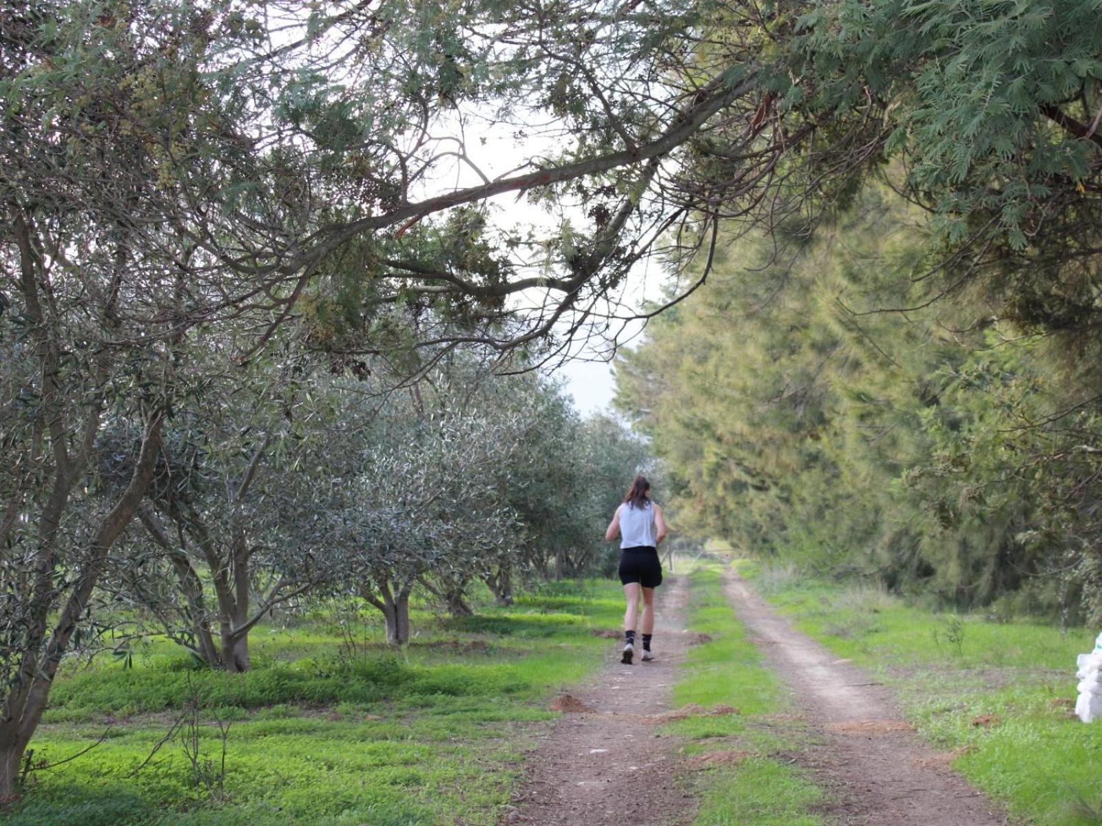 מלון טולבאך Duikersdrift Winelands Country Escape מראה חיצוני תמונה