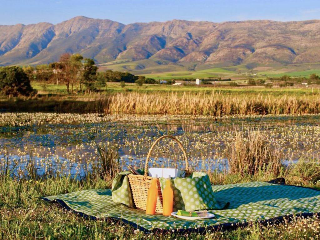 מלון טולבאך Duikersdrift Winelands Country Escape מראה חיצוני תמונה