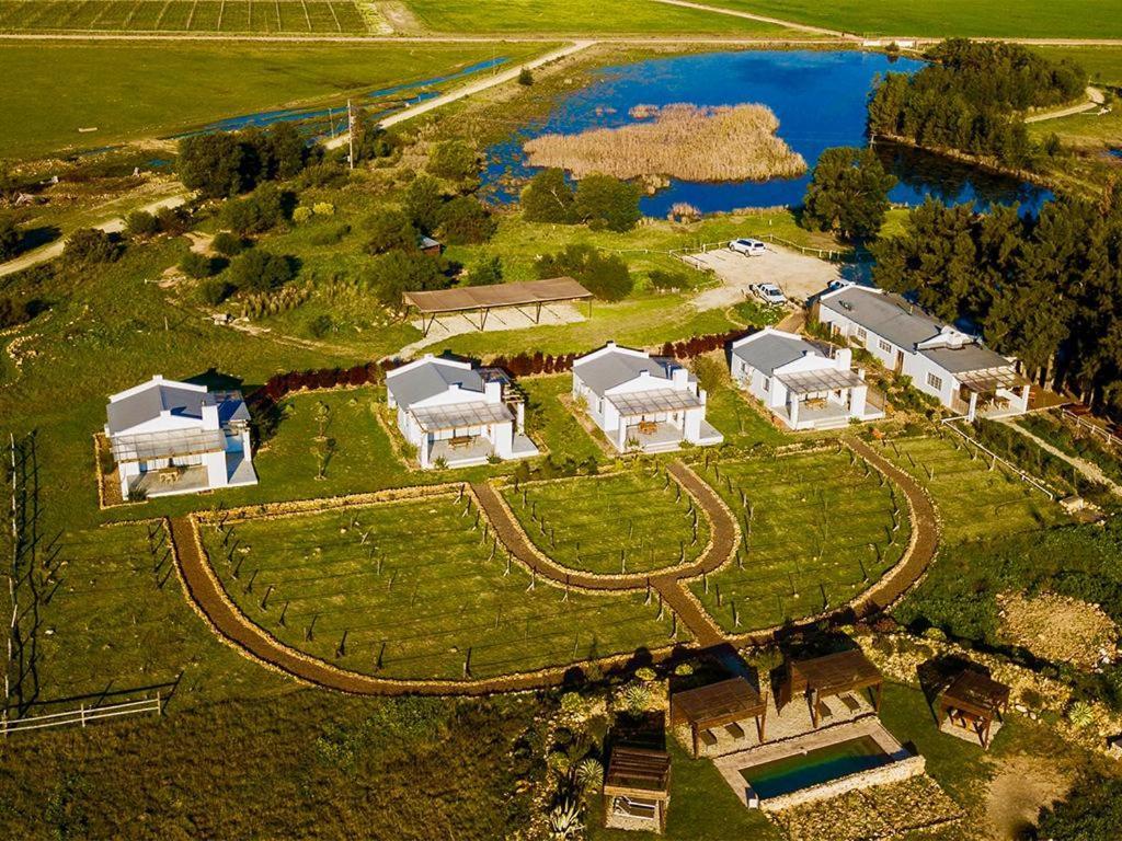 מלון טולבאך Duikersdrift Winelands Country Escape מראה חיצוני תמונה